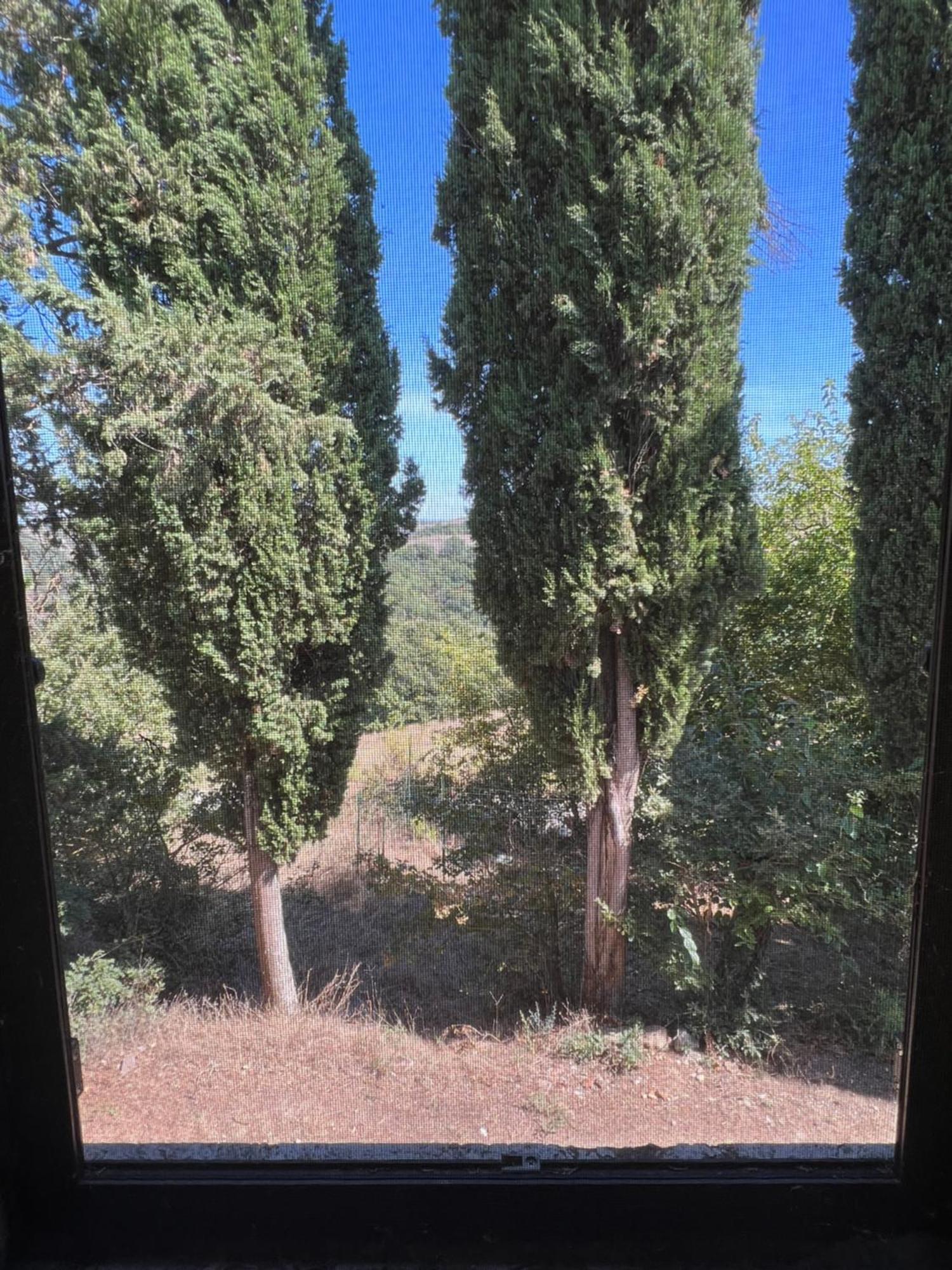 Agriturismo Diffuso Monte Oliveto Maggiore Chiusure Exteriör bild
